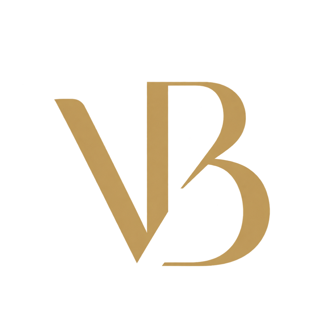 Vibe Brand Collective